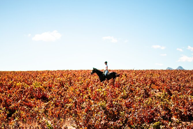 2 Hour Vineyard Trail Ride - Is $113 fair for the experience?