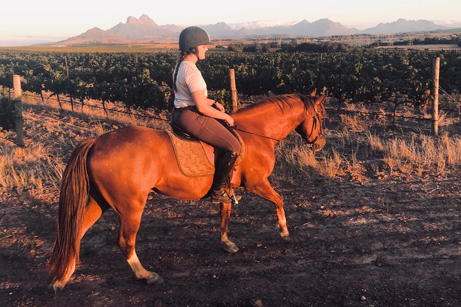 2 Hour Vineyard Trail Ride - Who should book this ride?