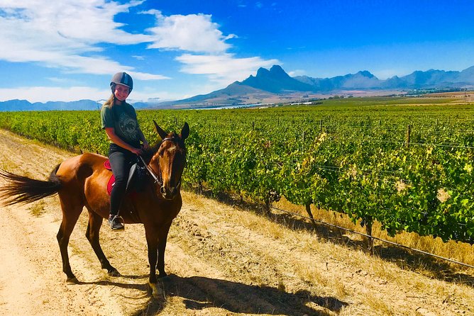 2 Hour Vineyard Trail Ride - The first lesson helps beginners settle in
