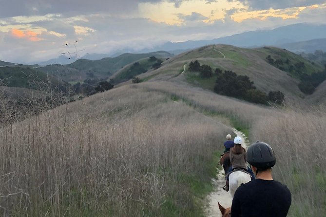 2 Hour Wildflower Horseback Trail Ride experience in Agoura Hills - Key points at a glance