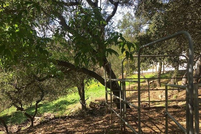 2 Hour Wildflower Horseback Trail Ride experience in Agoura Hills - What the two hours really include