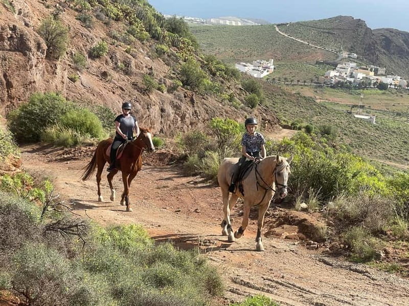 2 hours Green Mountains Horse Riding Tour - Who should book this mountain ride?