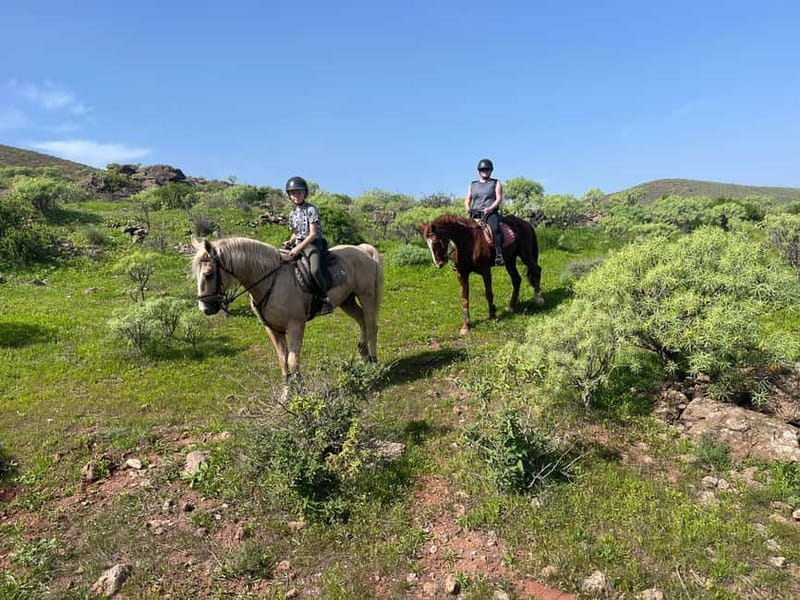 2 hours Green Mountains Horse Riding Tour - Leaving Horse Riding Canaria in Ojos de Garza