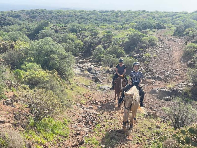 2 hours Green Mountains Horse Riding Tour - Choosing the cave path or the higher route
