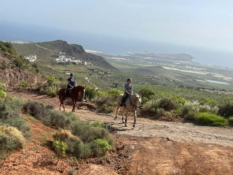 2 hours Green Mountains Horse Riding Tour - Trot and canter options for stronger riders