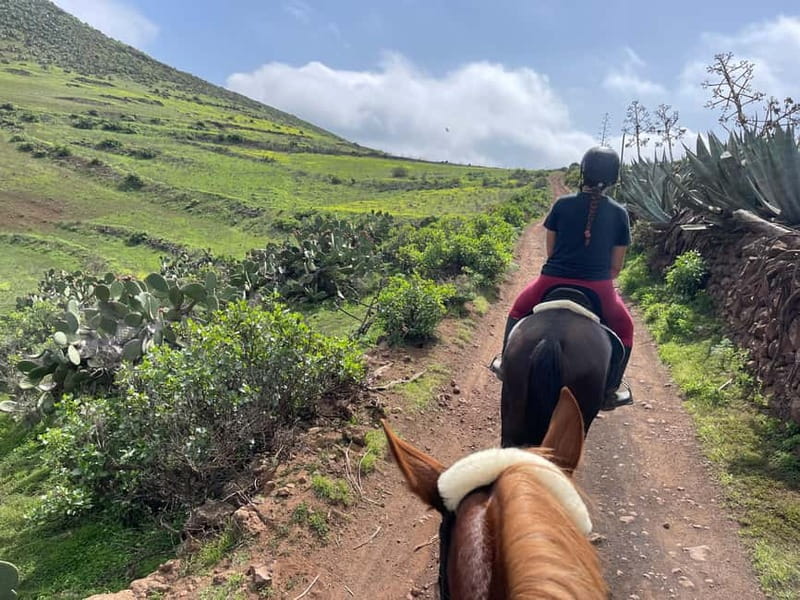 2 hours Green Mountains Horse Riding Tour - Olive orchards and the return to the barn