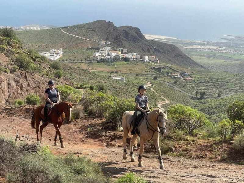 2 hours Green Mountains Horse Riding Tour - Is $100 fair for two hours?