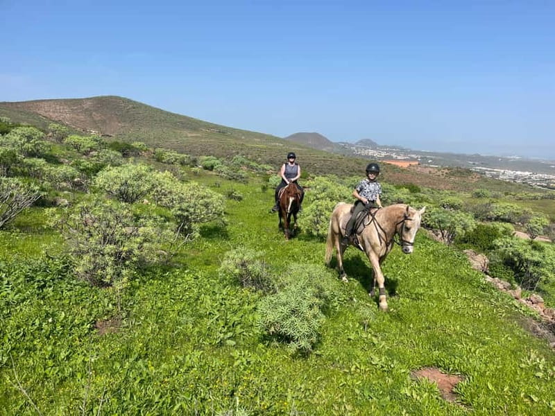 2 hours Green Mountains Horse Riding Tour - The 15-minute briefing and choosing your pace