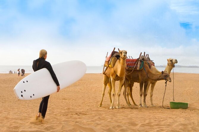 2 hours horse ride beach and dunes in Essaouira Morocco - What makes this ride worth considering