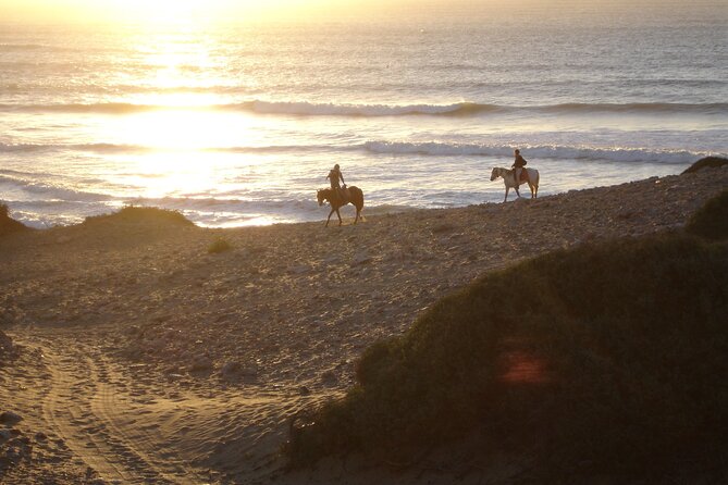 2 hours horse ride beach and dunes in Essaouira Morocco - From Essaouira to the Diabat riding yard