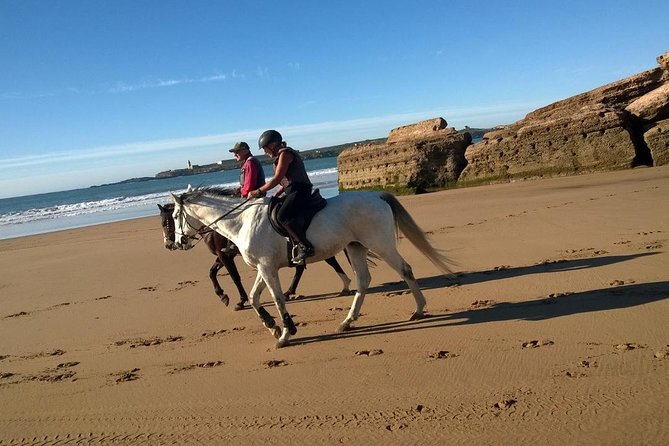 2 hours horse ride beach and dunes in Essaouira Morocco - Is $51.10 a fair price?