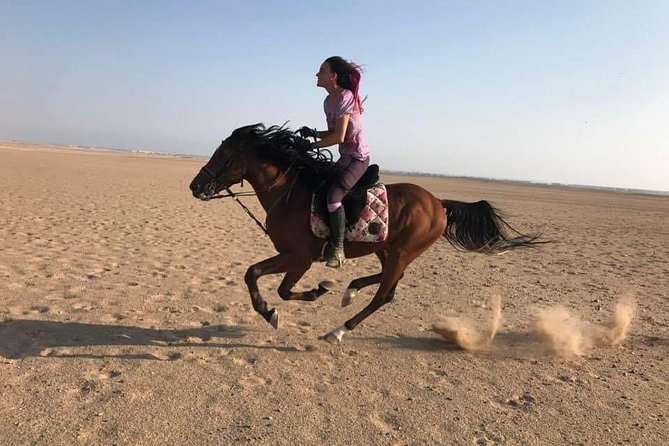 2 Hours Horse Riding Adventure in The Sea & Desert - Hurghada - Choosing between a horse and a camel