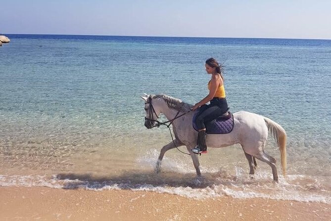 2 Hours Horse Riding Adventure in The Sea & Desert - Hurghada - What the Red Sea ride is really like