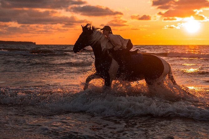 2 Hours Horse Riding Adventure in The Sea & Desert - Hurghada - Horses, helmets, and stable standards