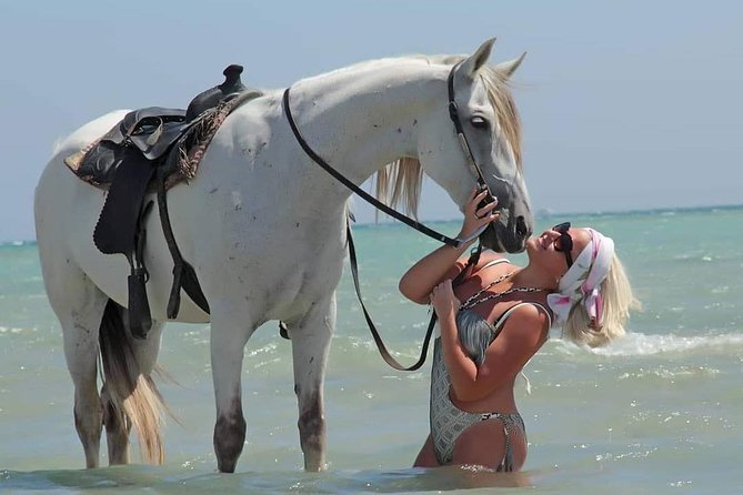 2 Hours Horse Riding Adventure in The Sea & Desert - Hurghada - Hotel pickup and the true cost