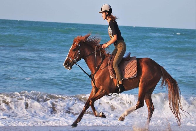 2 Hours Horse Riding Adventure in The Sea & Desert - Hurghada - Who will enjoy this ride most