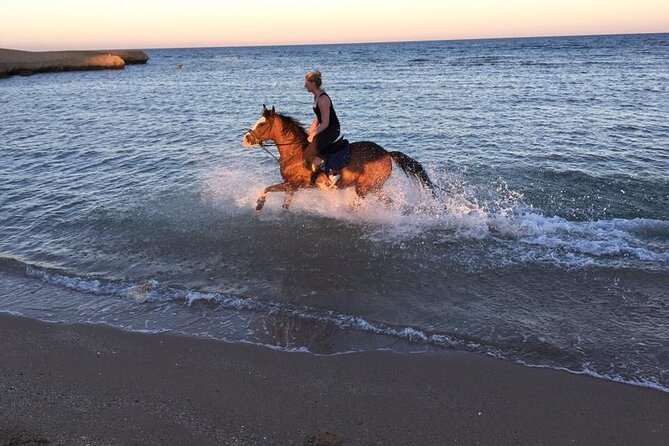 2 Hours Horse Riding Adventure in The Sea & Desert - Hurghada - The mixed side of the experience