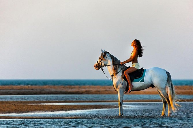 2 Hours Horse Riding Adventure in The Sea & Desert - Hurghada - Booking, cancellation, and practical preparation