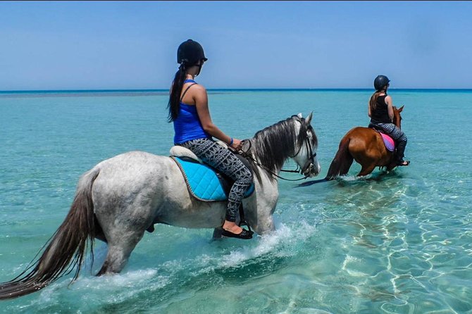 2 Hours Horse Riding Adventure in The Sea & Desert - Hurghada - The desert hour and the value of a real guide