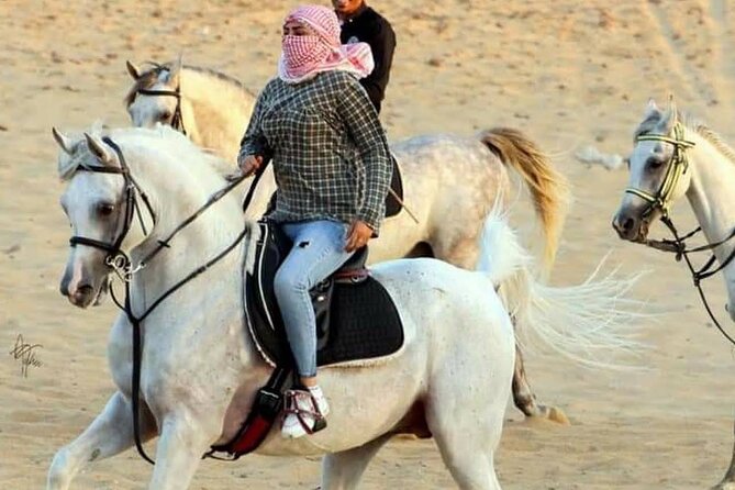 2 hours Horse Riding At Amazing Desert With Transfer - Sharm El Sheikh - Meeting the horses and getting ready