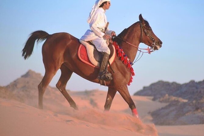 2 hours Horse Riding At Amazing Desert With Transfer - Sharm El Sheikh - What the $12 price really covers