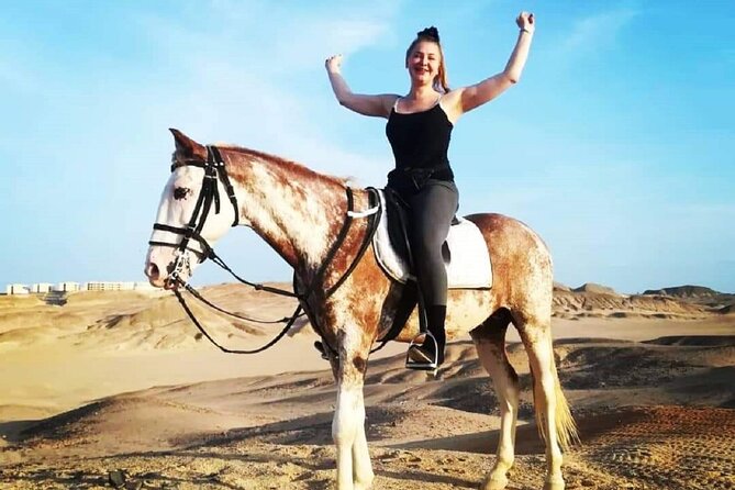 2 hours Horse Riding At Amazing Desert With Transfer - Sharm El Sheikh - Why the desert setting works so well