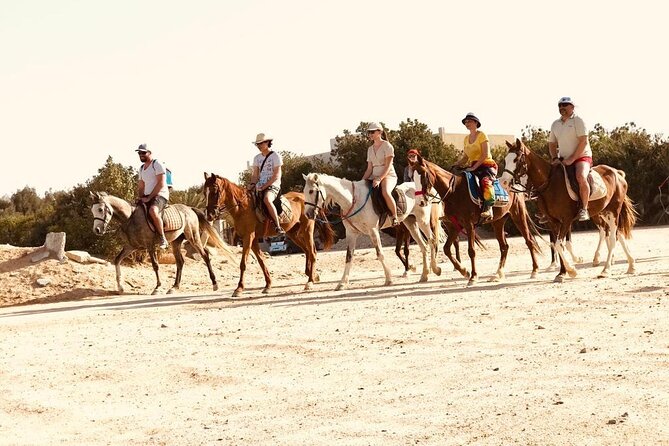 2 hours Horse Riding on The Sea and Desert- Hurghada - From Hurghada hotel to the horse farm