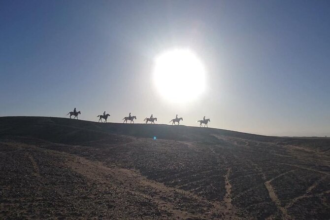 2 hours Horse Riding on The Sea and Desert- Hurghada - Riding into the Red Sea