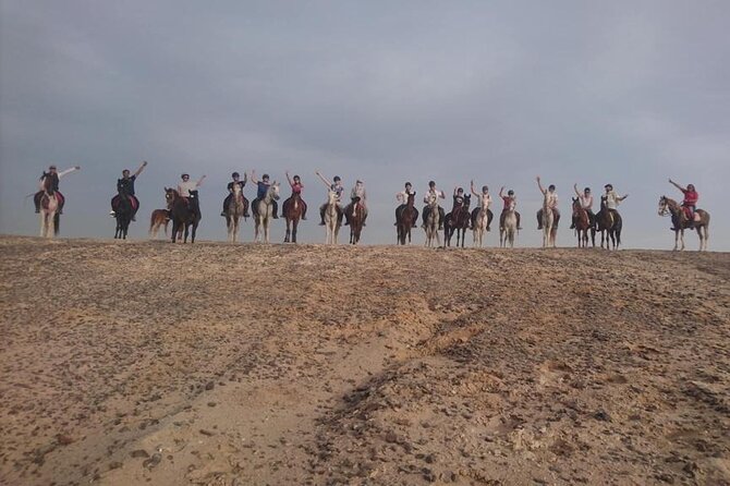 2 hours Horse Riding on The Sea and Desert- Hurghada - The guides, pace, and group size
