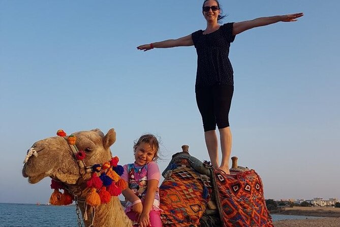 2 hours Horse Riding on The Sea and Desert- Hurghada - Horse welfare and what to look for