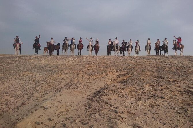 2 hours Horse Riding on The Sea and Desert- Hurghada - What to wear and bring