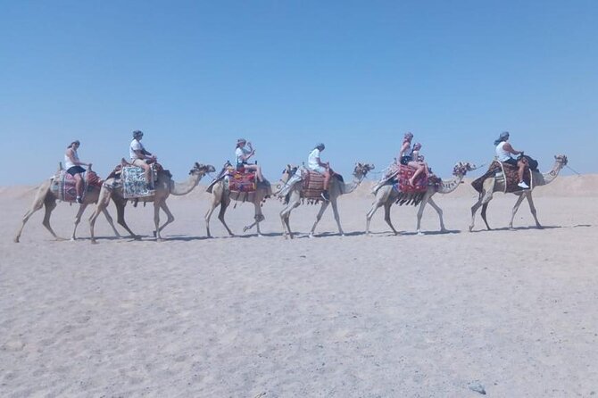 2 hours Horse Riding on The Sea and Desert- Hurghada - Crossing the stony desert outside Hurghada