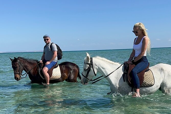 2 hours Horse riding or Camel riding at Hurghada - Choosing Horseback Riding, Camel Riding, or Both