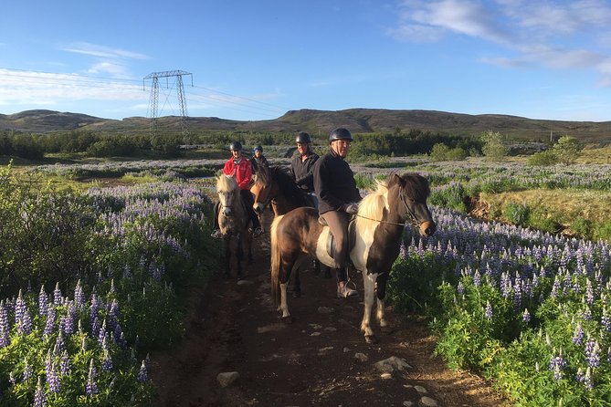 2 hours Private Horse Riding to Lake Hafravatn, Reykjavík - Mos - Why this private ride feels different