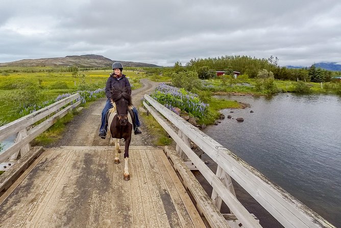 2 hours Private Horse Riding to Lake Hafravatn, Reykjavík - Mos - Is it suitable for a beginner?