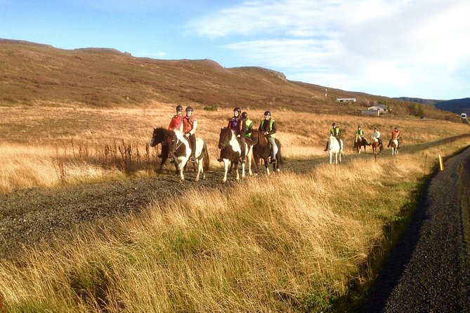 2 hours Private Horse Riding to Lake Hafravatn, Reykjavík - Mos - Getting there from Reykjavík