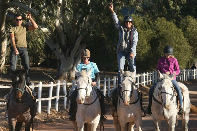 2h – Horse Trail - A two-hour ride with a real mountain view