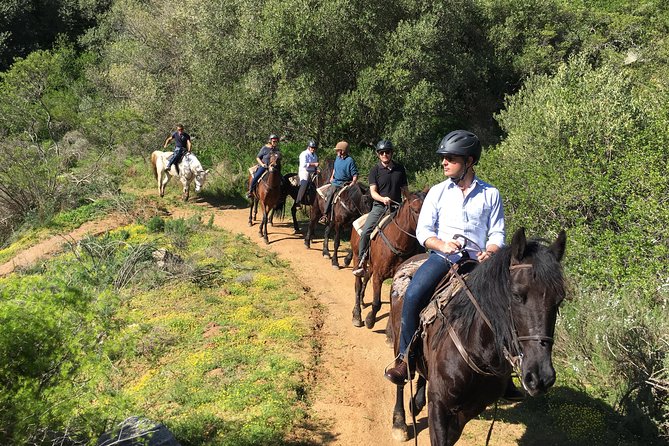 2h – Horse Trail - Riding for beginners and confident riders
