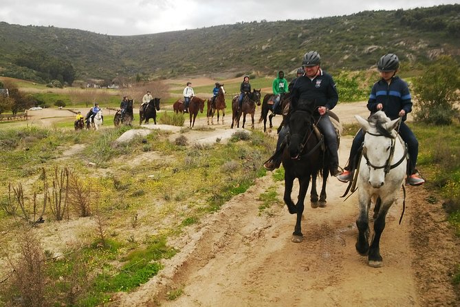 2h – Horse Trail - The small details that make the ride work