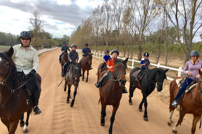 2h – Horse Trail - Horses chosen for different kinds of riders
