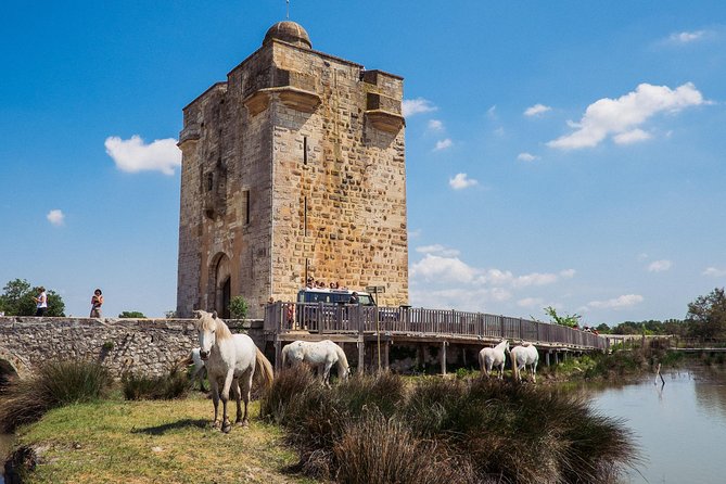 3.5 Hour Camargue 4x4 Safari from Le Grau-du Roi - Rice paddies and vineyards tell another story