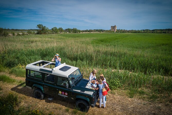 3.5 Hour Camargue 4x4 Safari from Le Grau-du Roi - Flamingos, marshes, and salt works