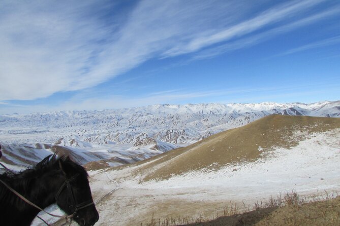 3 days horse back riding to Song-Kul lake whole year round - Is $150 good value?