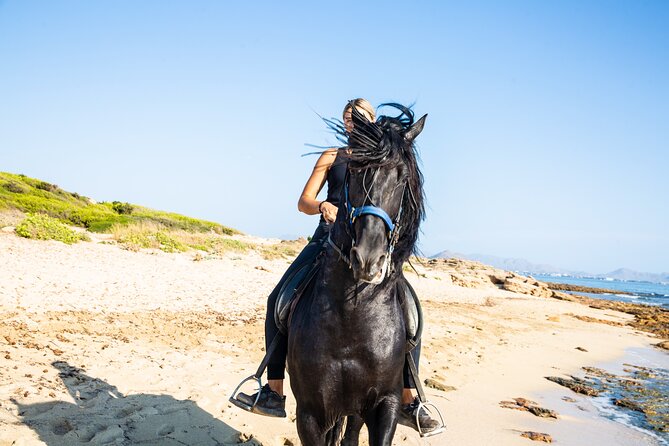 3-Hour Beach Horse Riding to Discover the Beauty of Alcudia Bay - From Can Picafort to the open coast