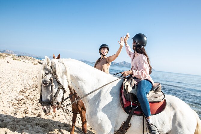 3-Hour Beach Horse Riding to Discover the Beauty of Alcudia Bay - What the horse assignment means for you