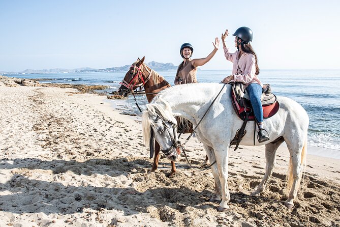 3-Hour Beach Horse Riding to Discover the Beauty of Alcudia Bay - Group size, guides, and pace