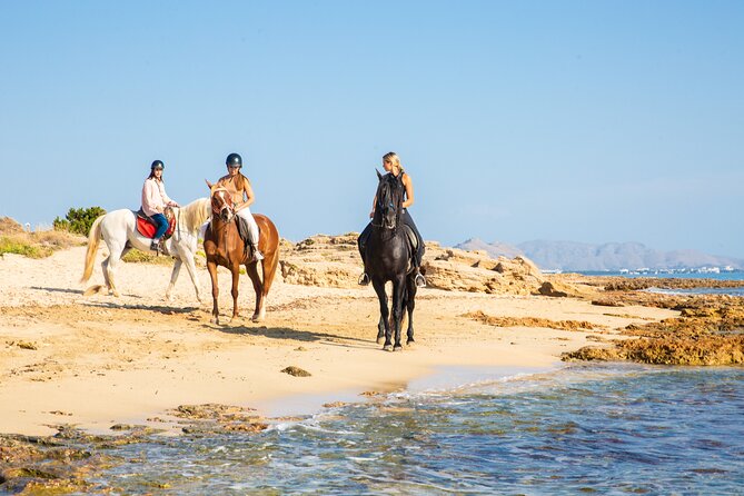 3-Hour Beach Horse Riding to Discover the Beauty of Alcudia Bay - Is $90.12 a fair price?