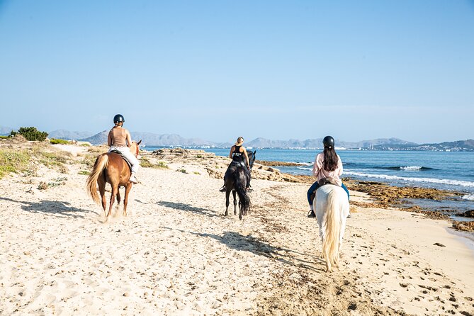 3-Hour Beach Horse Riding to Discover the Beauty of Alcudia Bay - What to wear and bring