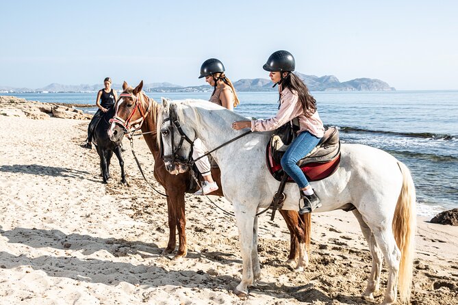 3-Hour Beach Horse Riding to Discover the Beauty of Alcudia Bay - Who should book this ride?