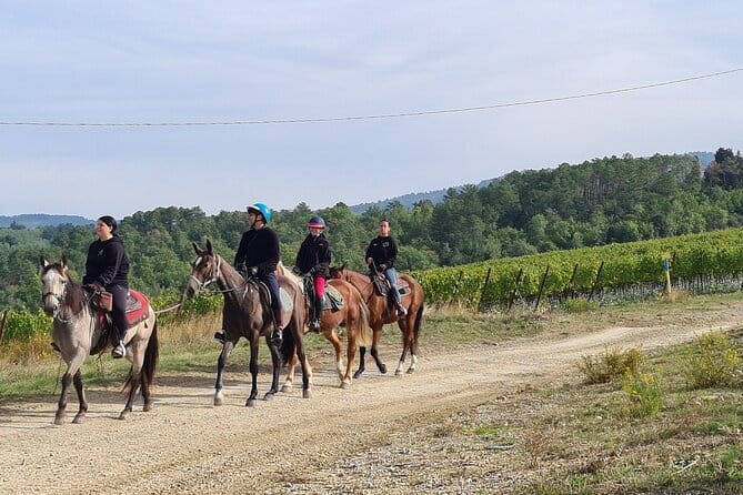 3 Hour Horse Ride to a Castle for Wine Tasting and snack Lunch - Why this Florence day trip feels different